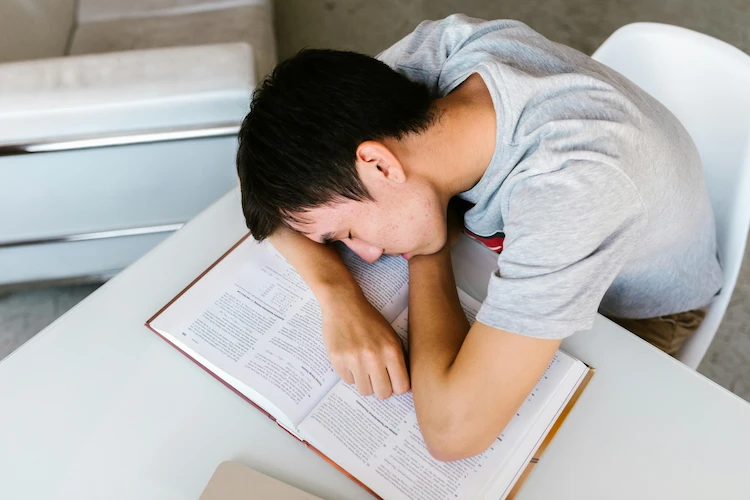 acompañamiento para estrés académico